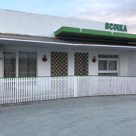 Pensiunea Scoika Steaguri Neptun Buitenkant foto