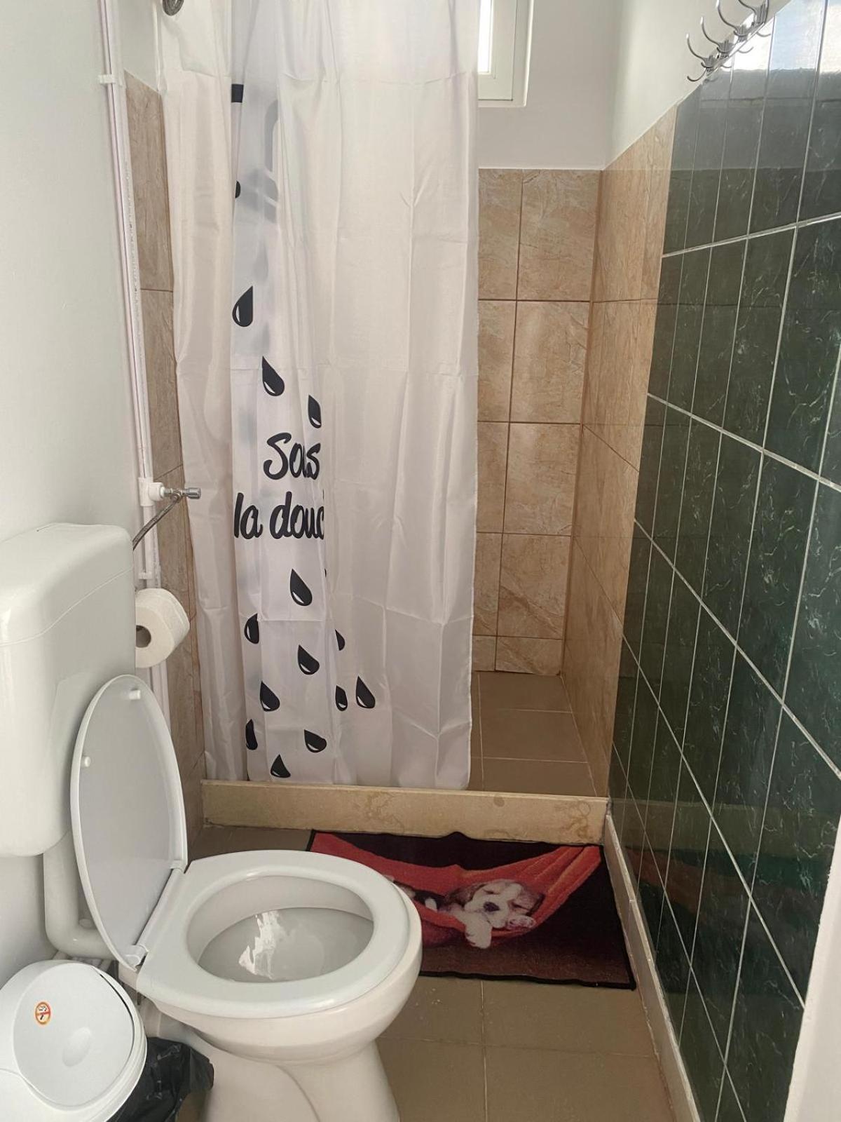Pensiunea Scoika Steaguri Neptun Buitenkant foto
