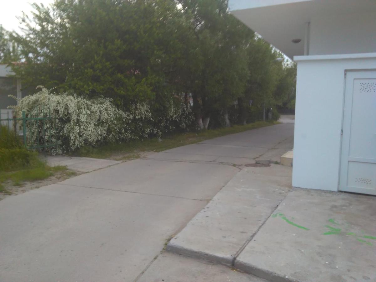 Pensiunea Scoika Steaguri Neptun Buitenkant foto